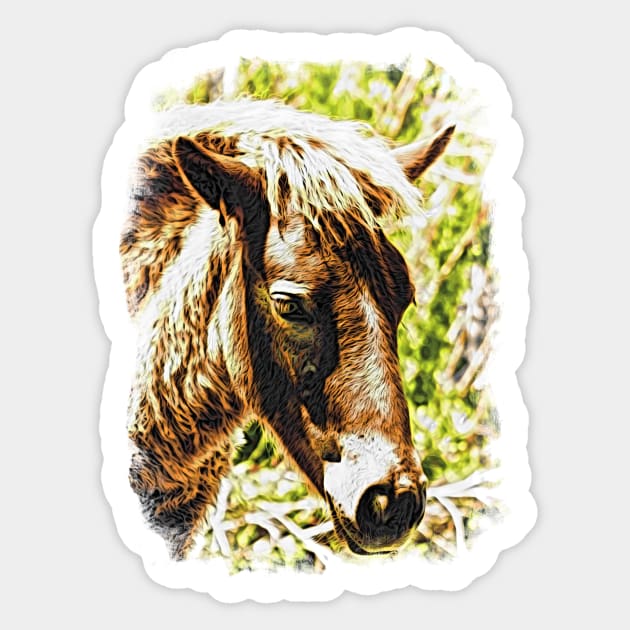 Assateague Pony Wyld Wynds Colt Watercolor Sticker by Swartwout